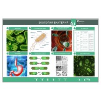 Электрифицированный стенд «Экология бактерий»