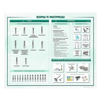 Стенд "Боры и матрицы"