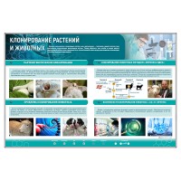 Сборный электрифицированный стенд "Клонирование растений и животных"