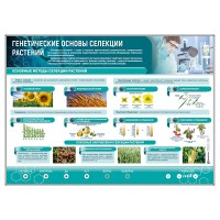 Электрифицированный стенд "Генетические основы селекции растений"